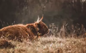 Jak Zjistit Jakou Mám Základní Desku